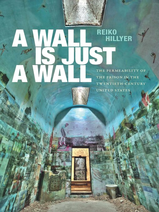 Title details for A Wall Is Just a Wall by Reiko Hillyer - Available